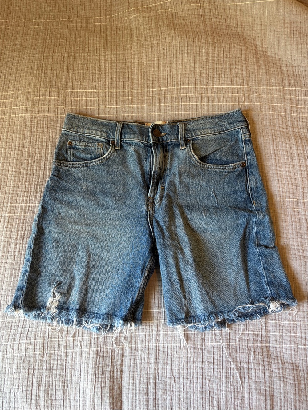 BDG Long Inseam Shorts